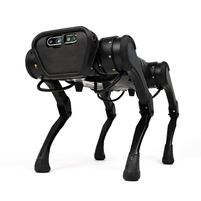 Unitree-A1-RobotDogs